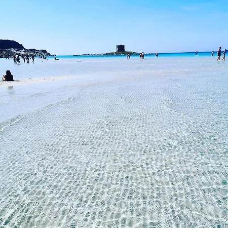 La Finestra Sul Mare Feriehus Stintino